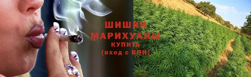 Конопля THC 21%  Алзамай 